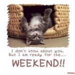 Busy Weekends: Welcome Back Weekend at Lord of the Rings Online and Bonus Experience Weekend at Vanguard: Saga of Heroes