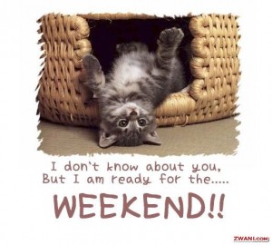 Busy Weekends: Welcome Back Weekend at Lord of the Rings Online and Bonus Experience Weekend at Vanguard: Saga of Heroes