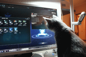 The Gamer Cat is playing with Perpetuum Online