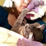 #cat #kitty #cute #awww #me #my #instacute #bestfriends #коте