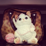 #shopping #cat #catlove #cute #awww #instacute #bag