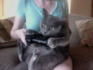Best Gamer Cat Pictures Best Gamer Cat Pictures