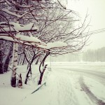 #moscow #winter #snow #cold #russia #white #снег #зима #москва #снегопад