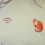 Warning! Warm cats area :))) #funny #cat #graffity
